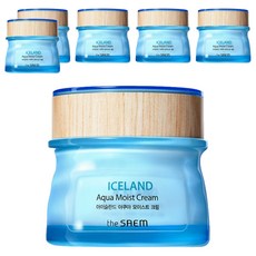 더샘 아이슬란드 아쿠아 모이스트 크림, 60ml, 6개