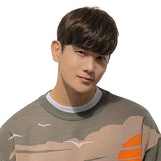 가발나라 남자 투블럭가발 베이직, 내츄럴브라운, 1개