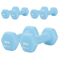 리브스포 논슬립 아령, 2kg, 6개