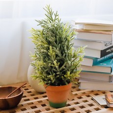 雪花花盆 中, 混合顏色, 1個