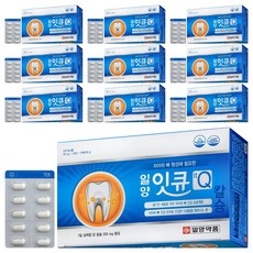 일양약품 잇큐 영양제, 240정, 10개
