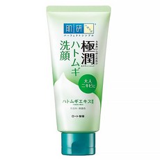 HADALABO 肌研 台灣公司貨 極潤深層清潔調理洗面乳 軟管, 100g, 1條