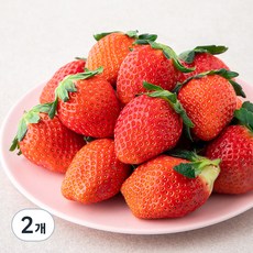 한반도 스마트팜 한단 금실딸기 대과, 500g, 2개