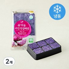 유기가공식품 인증 웰팜넷 유기농 다진적양배추 (냉동), 100g, 2개