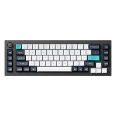 키크론 Q65 MAX RGB 기계식 핫스왑 유무선 일반형 키보드, 블랙, Q65M-M4, 바나나축