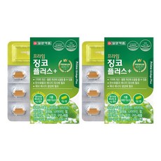 일양약품 프라임 징코 플러스, 30정, 2개