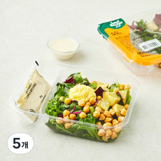 스윗밸런스 에그마요 심플 샐러드, 165g, 5개