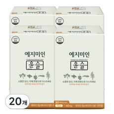예지미인 윤슬 팬티라이너, 일반, 40개입, 20개