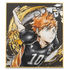 Haikyu 排球少年!! 激鬥!!閃亮色紙 日向翔陽, 1色, 1張