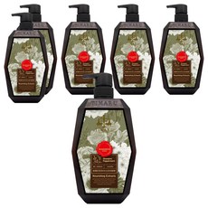 TIMARU 堤瑪露 頭皮調理草本植粹SPA舒活精油洗髮 草本沁涼, 6個, 1L