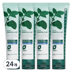 2080 덴티리프 고불소1450 구취케어 치약, 120g, 24개