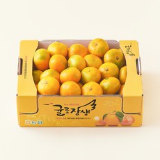 귤로장생 당도선별 10brix 감귤 꼬마과, 1.5kg, 1박스