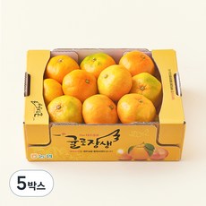 귤로장생 당도선별 10brix 감귤, 1.5kg(대과), 5박스