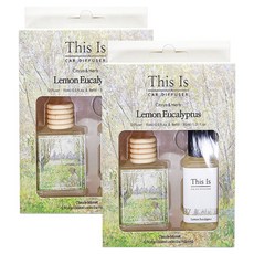 디스이즈명화 클립형 차량용 디퓨저 15ml 본품 + 30ml 리필 세트, 레몬유칼립투스, 2세트