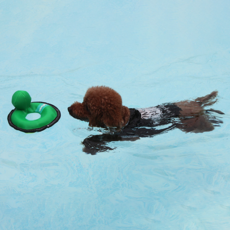 지피포우즈 강아지용 Z 스티치 튜브 장난감, 거북이, 1개