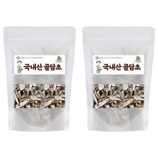 월드블링 골담초, 2개, 200g