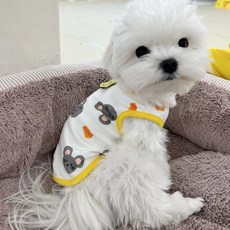 Locus 狗狗衣服, 黃色