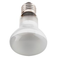 OTTO 建興水族 25W 爬蟲聚熱燈泡, 爬蟲曬背聚光燈, 白色, 1個