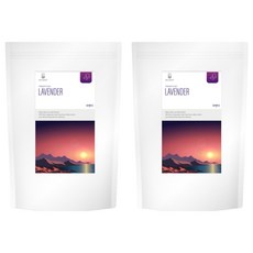 닥터루트 라벤더차 삼각티백, 1.2g, 100개입, 2개