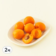 다조은 살구, 300g, 2팩