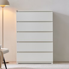 동서가구 팬타 속 깊은 광폭 5단 서랍장 방문설치, 화이트