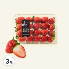 올프레시 GAP 한단 금실 딸기, 500g, 3개