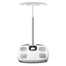 인바디 다이얼 체지방계, H30NWi, 화이트, 1개