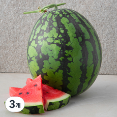 곰곰 당도선별 수박(11 brix 이상), 3kg 이상, 3개