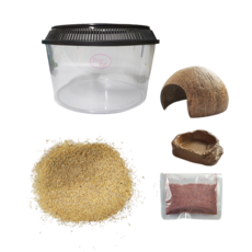 Rora Pet 寄居蟹養金沙套組, 赭色（地板材料）、單色（狗窩、藏身處、食物盤、食物）, 1組