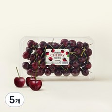 CMI 항공직송 점보 체리, 700g, 5개