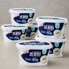 요플레 프로틴 플레인, 400g, 1개입, 6개