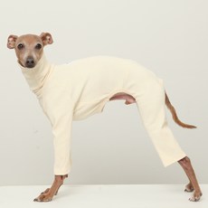 DOGGY STAR 義大利格雷伊獵犬服飾 IG服飾 柔軟羅紋連身衣, 象牙白, 1個