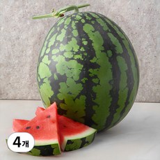 곰곰 당도선별 수박(11 brix 이상), 3kg 이상, 4개