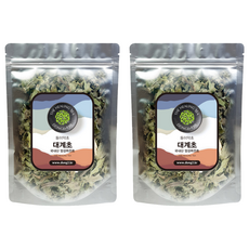 동이약초 국내산 대계초 엉겅퀴전초, 150g, 2개