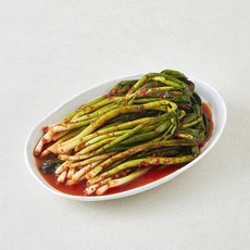 우리땅에놀던 전라도 파김치, 1kg, 1개