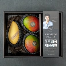 올프레쉬 프리미엄 종합과일 용돈박스 4호, 1.51kg, 1세트