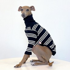 DOGGY STAR IG犬服 義大利靈緹犬服飾 三線羅紋T恤, 黑色底, 1個