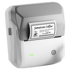 NIIMBOT NIIMBOT 西諾林克 標籤印表機 灰色 + 標籤紙套組, 1套, B31