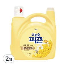 피죤 고농축 강력탈취 오리지널 섬유유연제 써니가든 본품, 6L, 2개