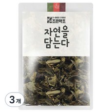 조은약초 자연을 담는다 프리미엄 녹차, 300g, 3개, 1개입