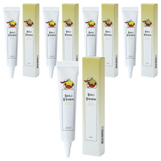 돌피니 율무패치, 5개, 20ml