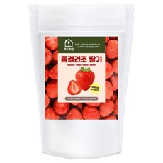 푸드하임 동결건조 딸기, 1개, 100g