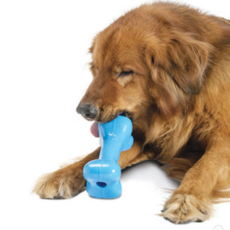 플래넷도그 오르비 터프본 성견용 강아지 장난감 Extra Small, Blue, 1개