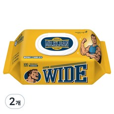 깨끗한나라 미스터클린 물티슈 캡형, 2개, 100매, 55g