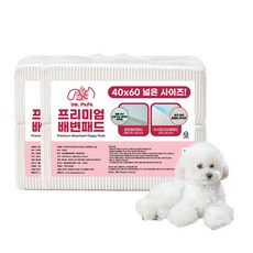 제이엠코코 프리미엄 배변패드 20g, 100개입, 2개 100개입, 2개