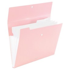 델리 린피니 5분류 아코디언 도큐먼트 파일, 파스텔핑크, 1개