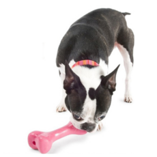 플래넷도그 오르비 터프본 성견용 강아지 장난감 Extra Small, 핑크, 1개