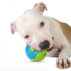 PLANET DOG 小狗玩具 L號, 藍色 + 綠色, 1個