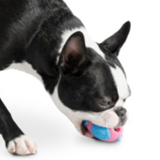 PLANET DOG 小狗玩具 L號, 粉色+藍色, 1個