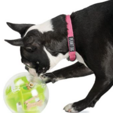 PLANET DOG 智力開發鼻子小狗迷宮餵球, 綠色, 1個
